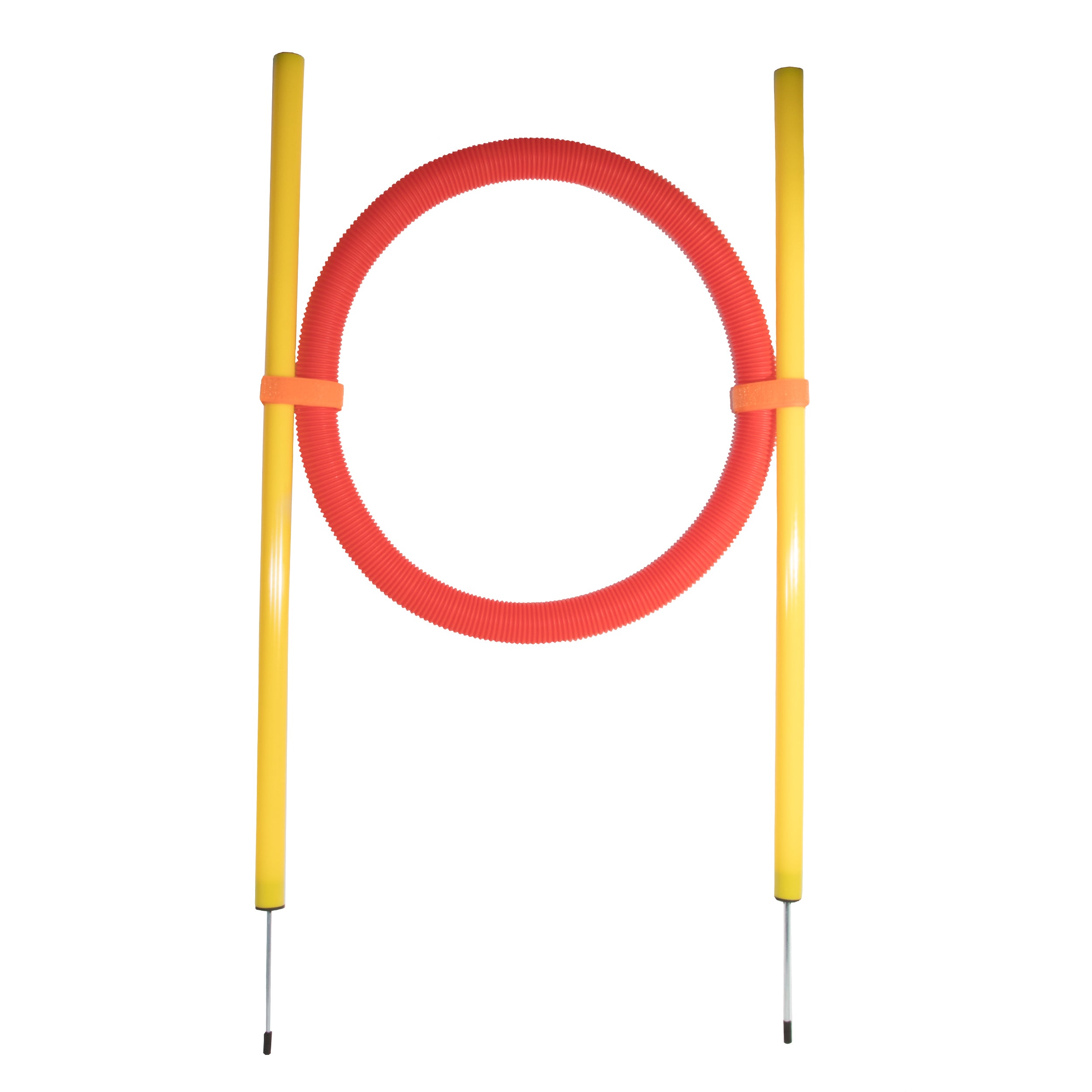 Pet Life ® Hoop Hopper Collapsible Agility Dog Trainer Kit