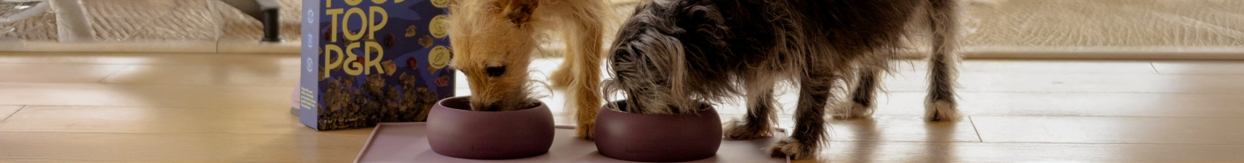 Silicone Pet Feeders