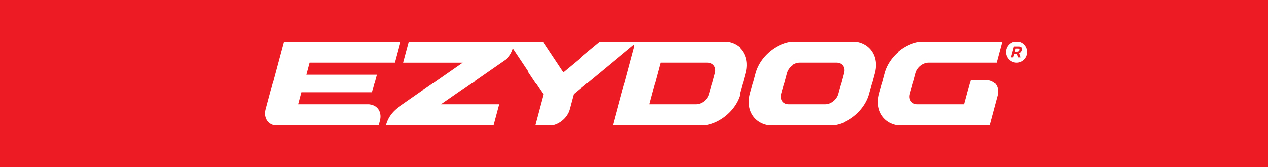EzyDog, LLC.