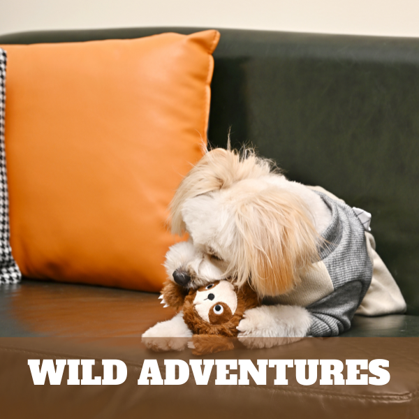 Wild Adventures