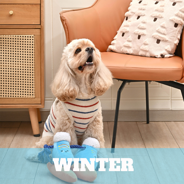 Winter Season