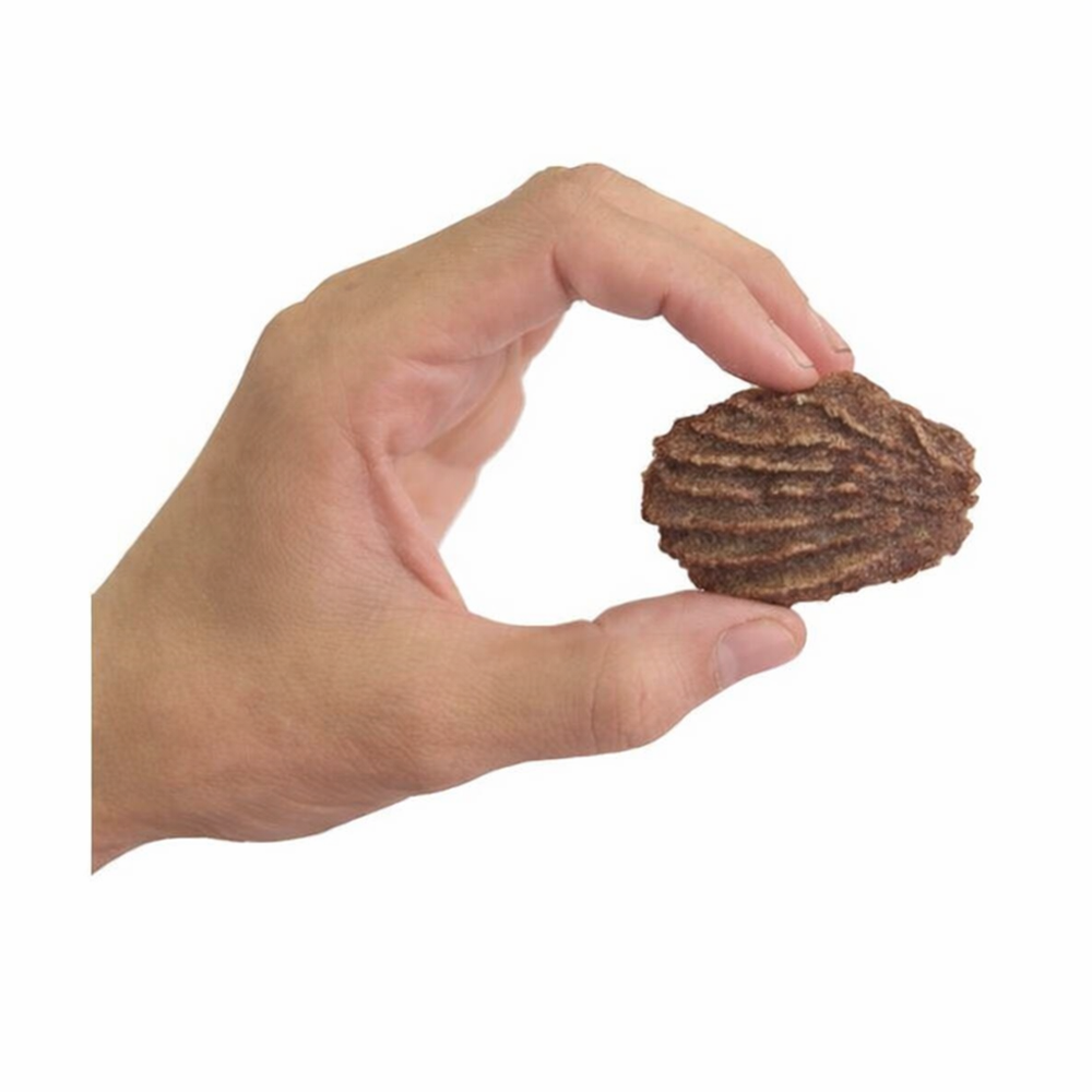 Beef Coconut Cookies