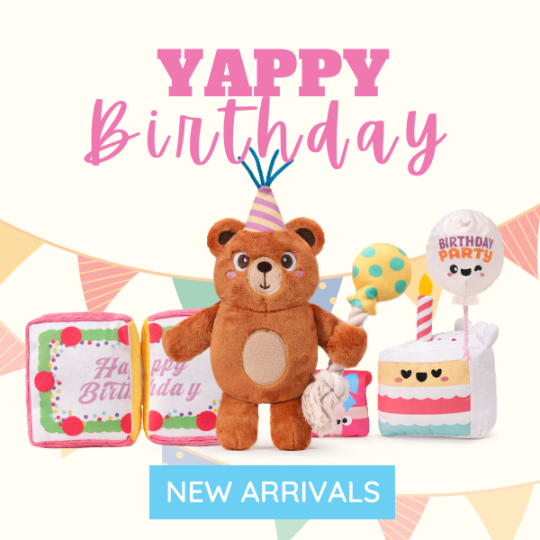 Birthday Toys