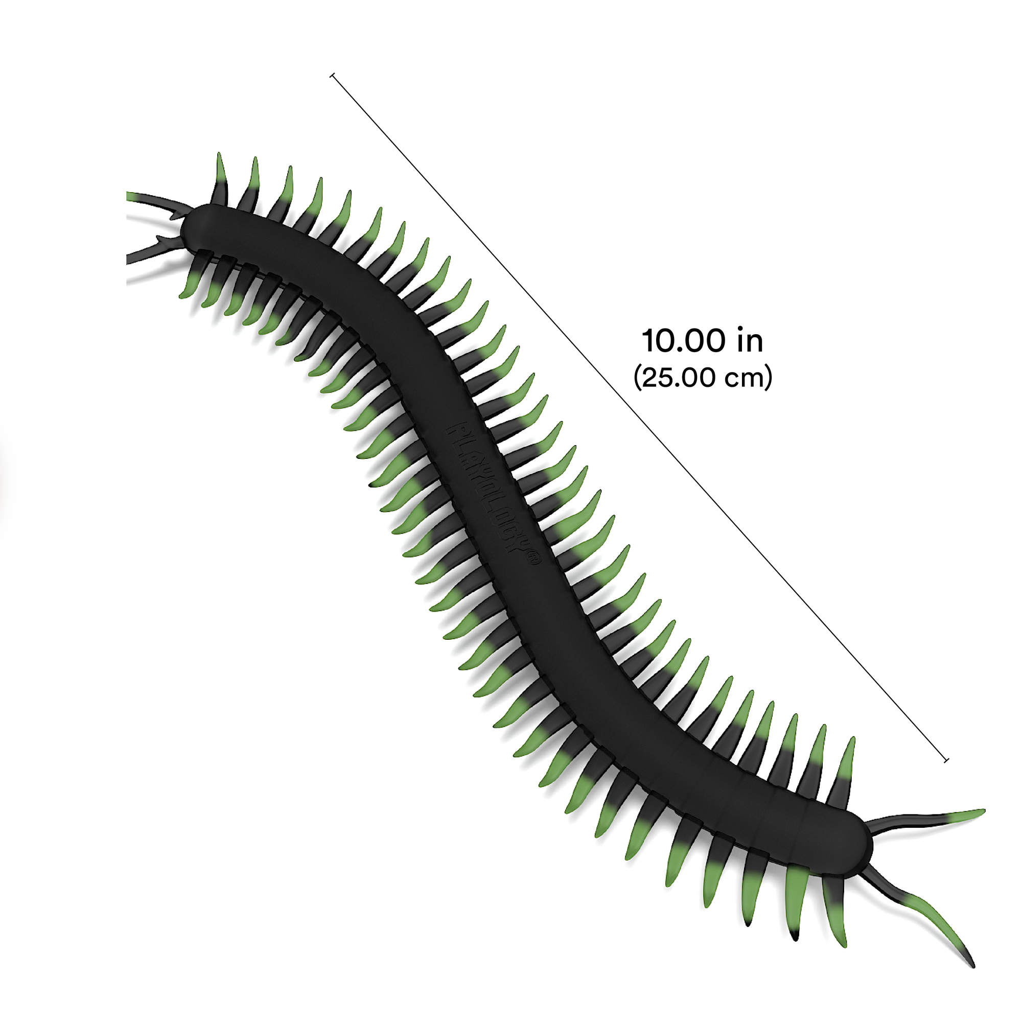 PLAYOLOGY CAT - CENTIPEDE - Image 2