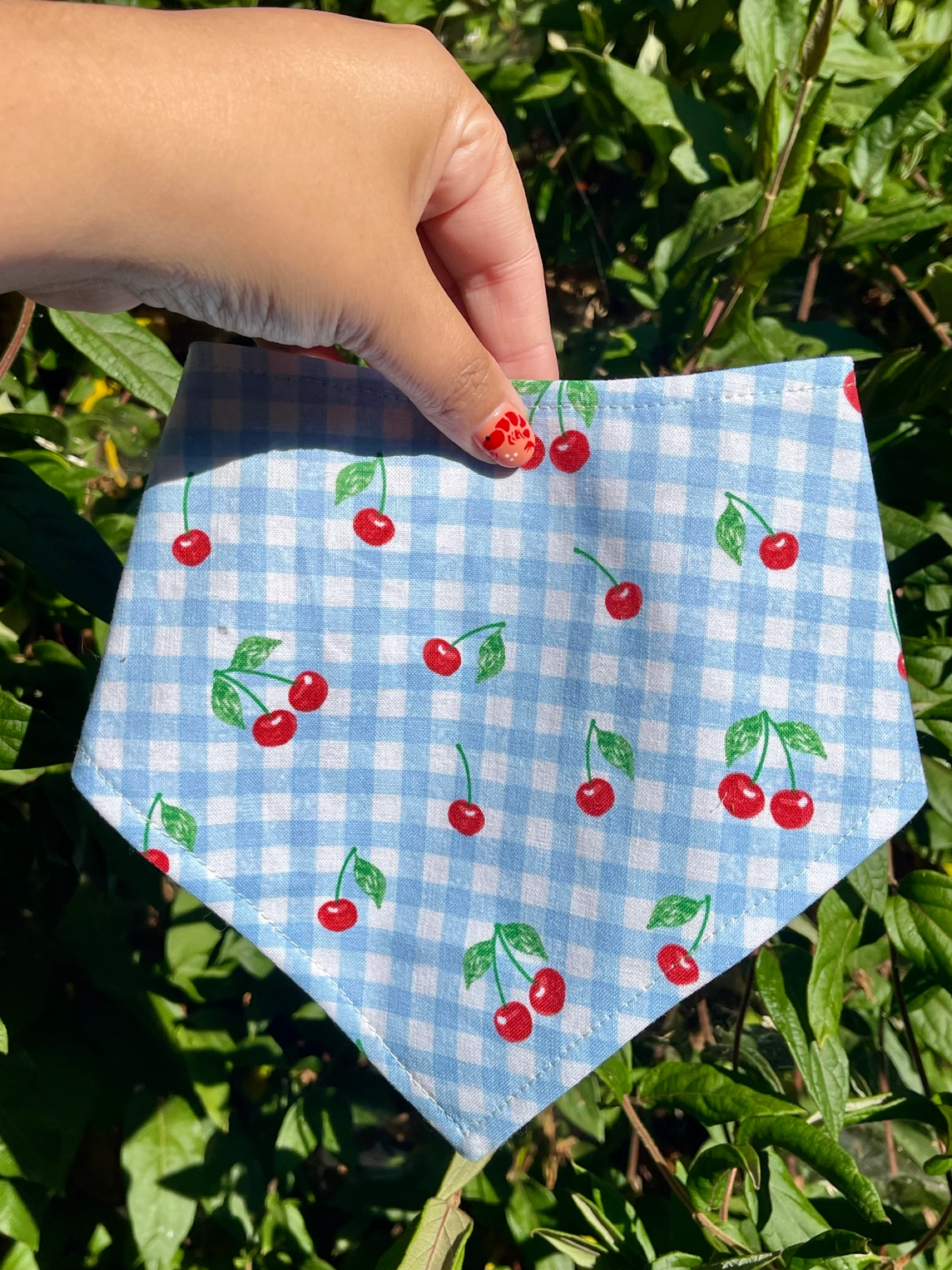 Cherry Jubilee handmade pet bandana featuring red cherries on blue-and-white gingham with an adjustable snap closure.