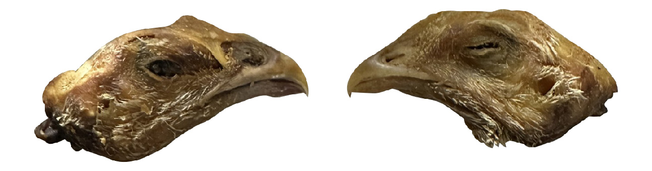Chicken Heads - 20pk Retail Pouch - Image 2