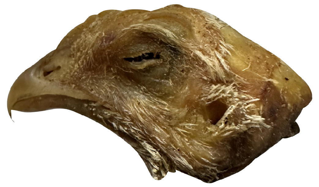 Chicken Heads - 20pk Retail Pouch - Image 3