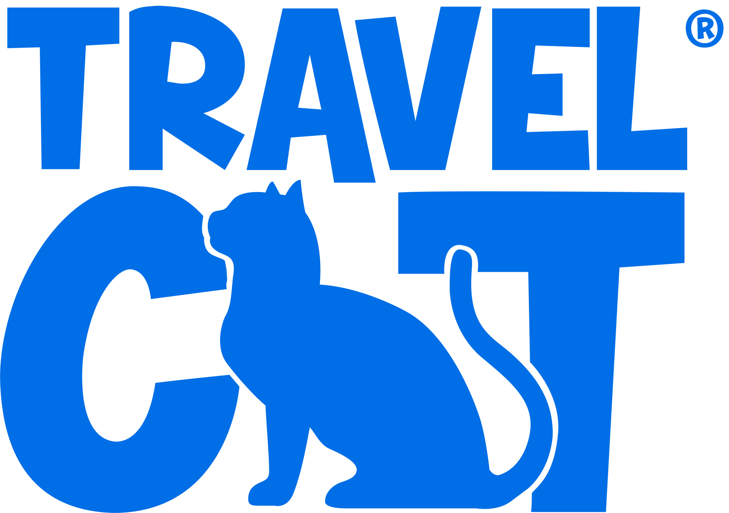Travel Cat