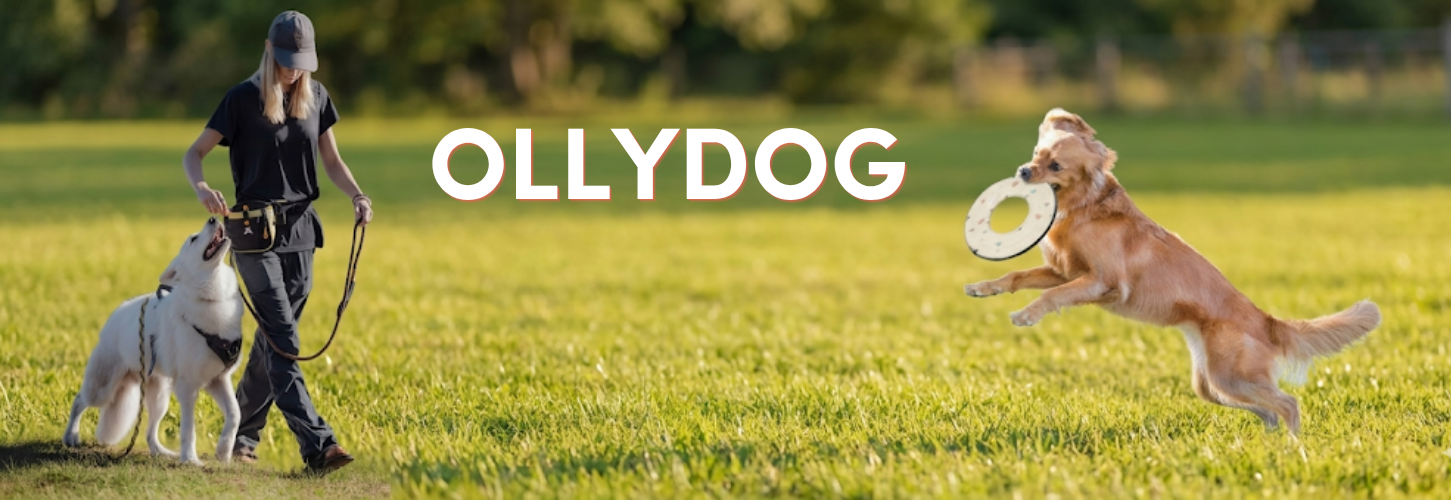 OllyDog™ Inc