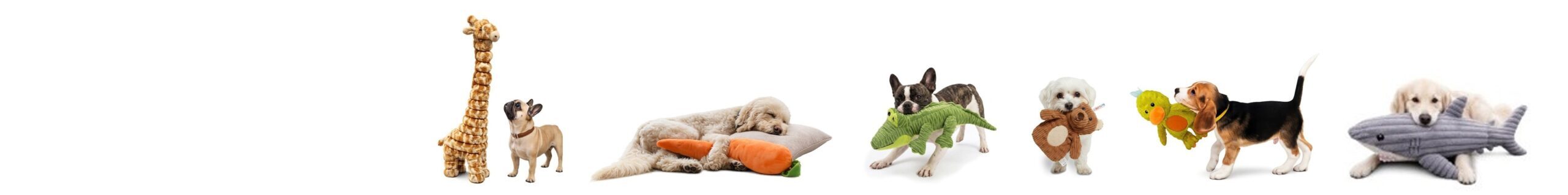 Petlou, Inc.