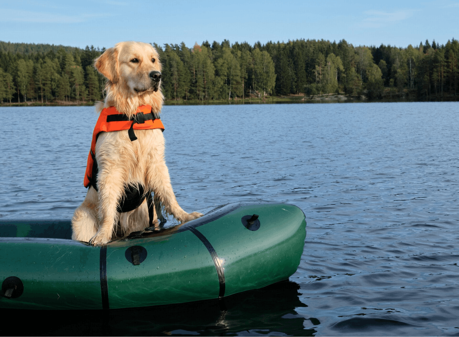 Green Coast Pet