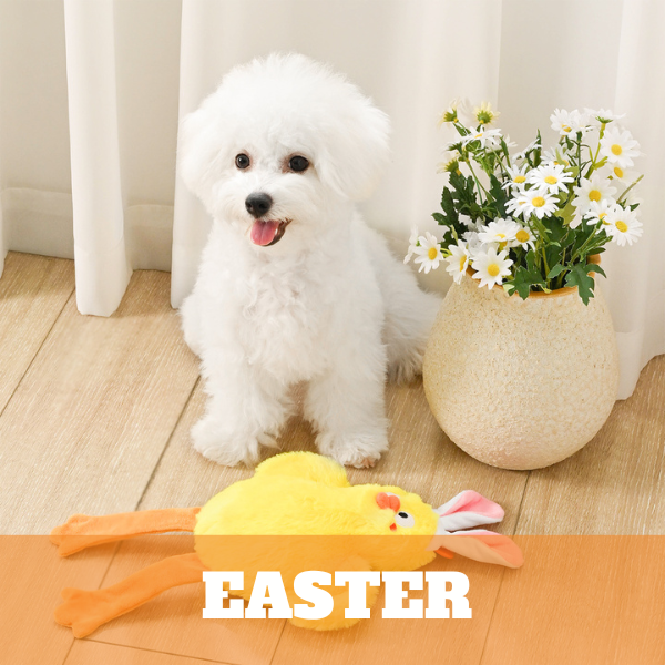 Easter Toys