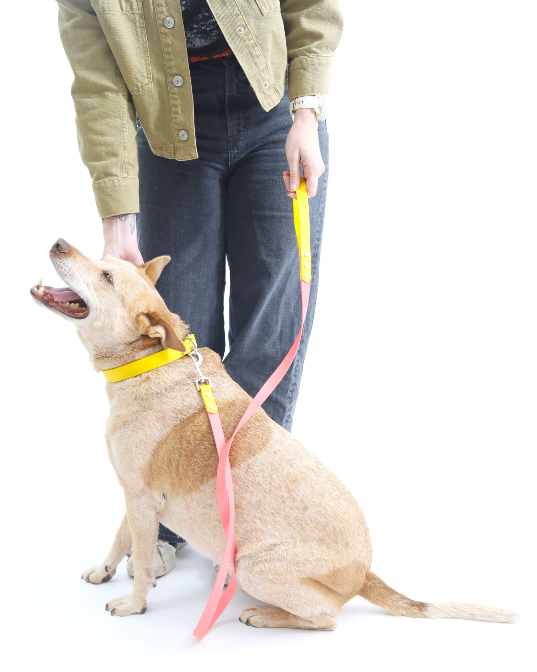 Two Tone Waterproof Biothane Dog Leash - Custom Color Combos - Image 3