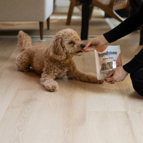 doodle being fed houndstone freeze dried dog treats, liver dog treats