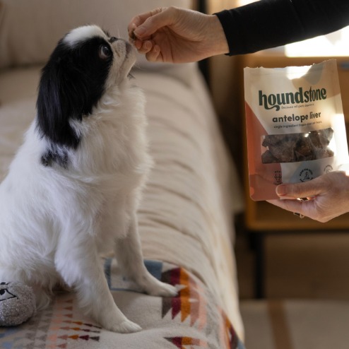 dog eating houndstone freeze dried dog treats, liver dog treats