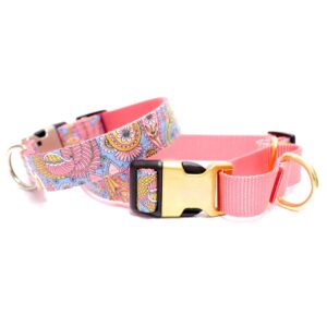 'Stevie' Paisley Laminated Cotton Martingale Dog Collar
