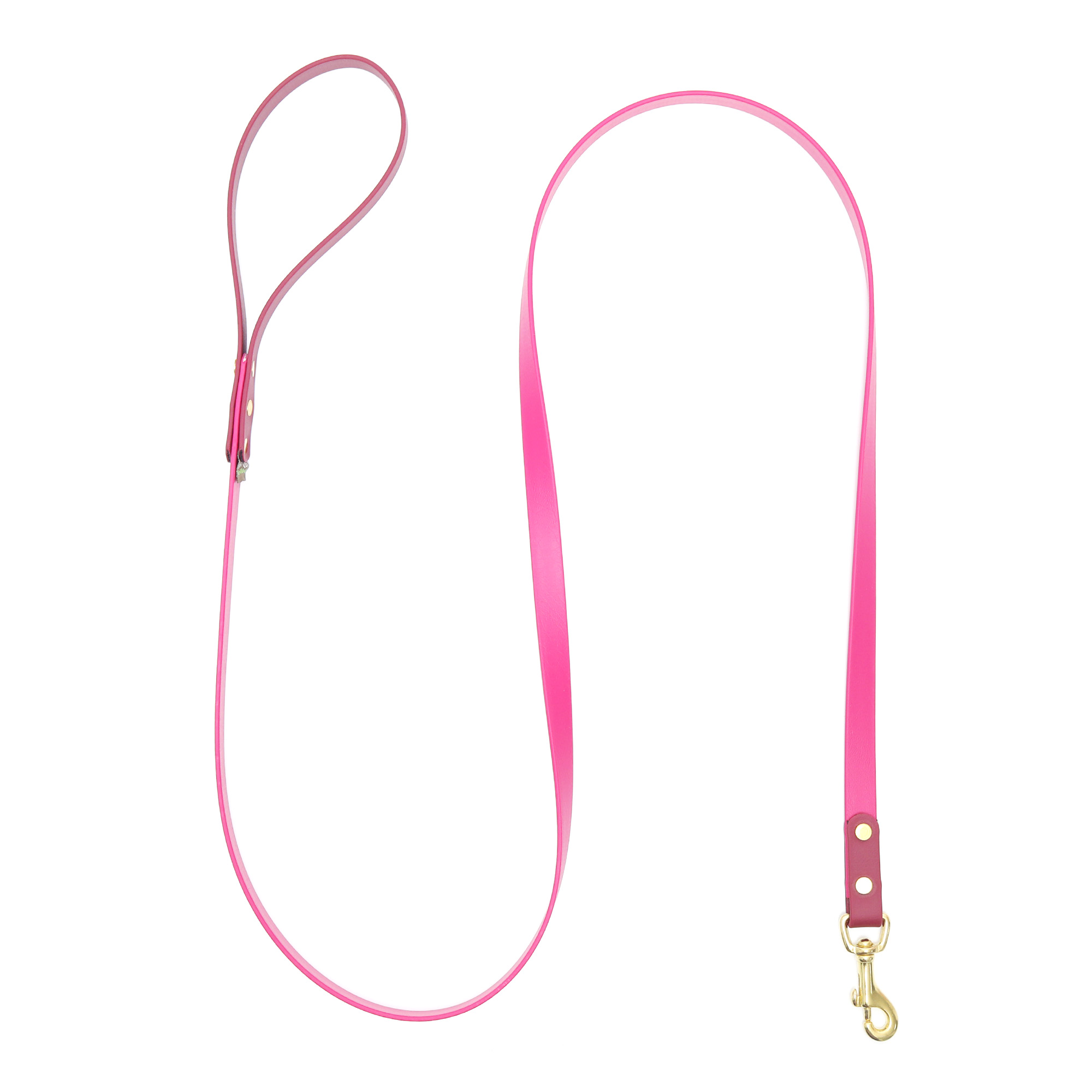 Two Tone Waterproof Biothane Dog Leash - Custom Color Combos - Image 4
