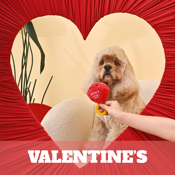 Valentine's Toys