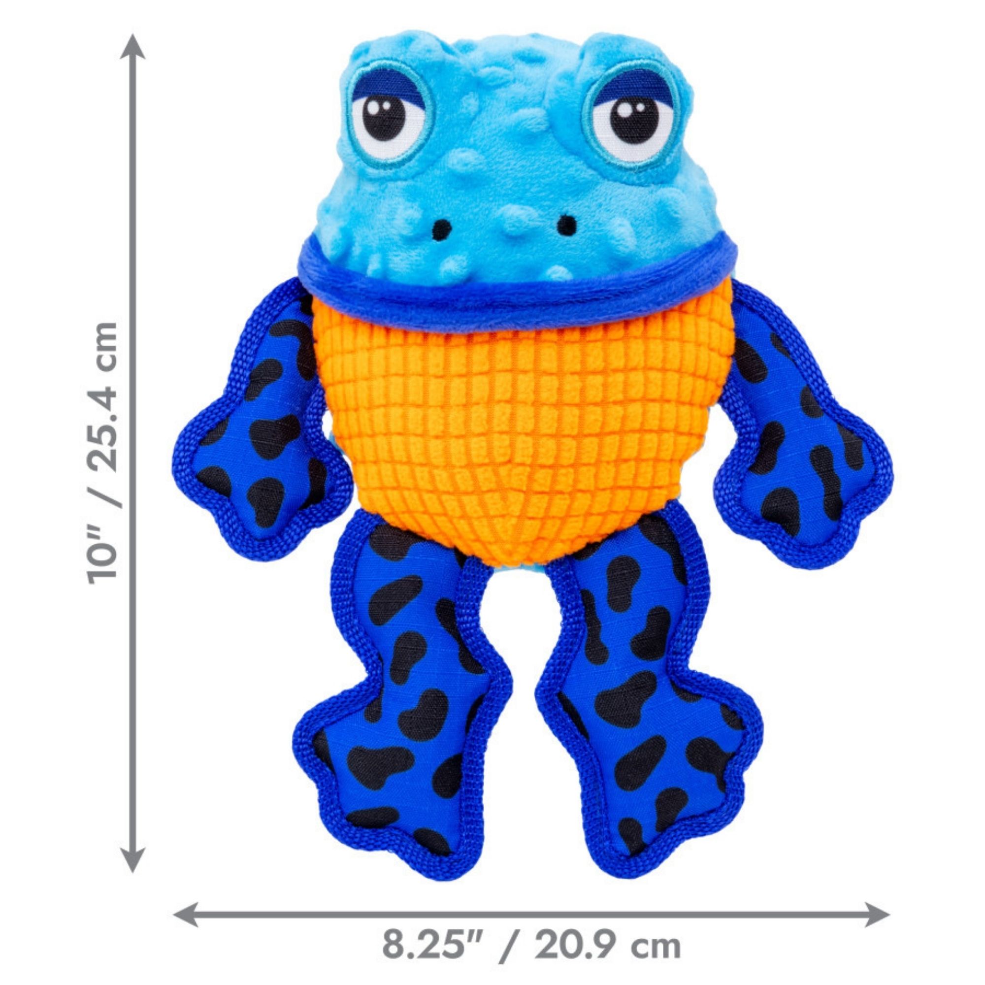 KONG Tropics Rattlez Frog Dog Toy Blue, 1ea/MD, LG - Image 2