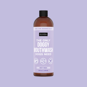 Doggy Mouthwash