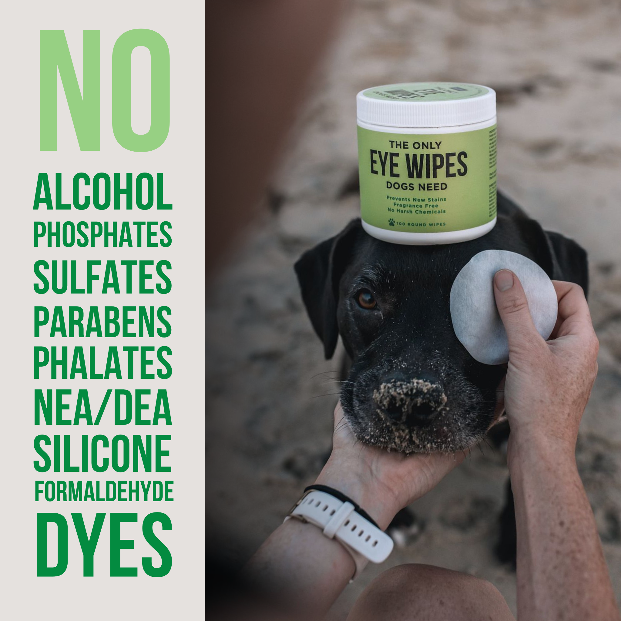 Dog Eye Wipes, 100 count Jar - Image 3