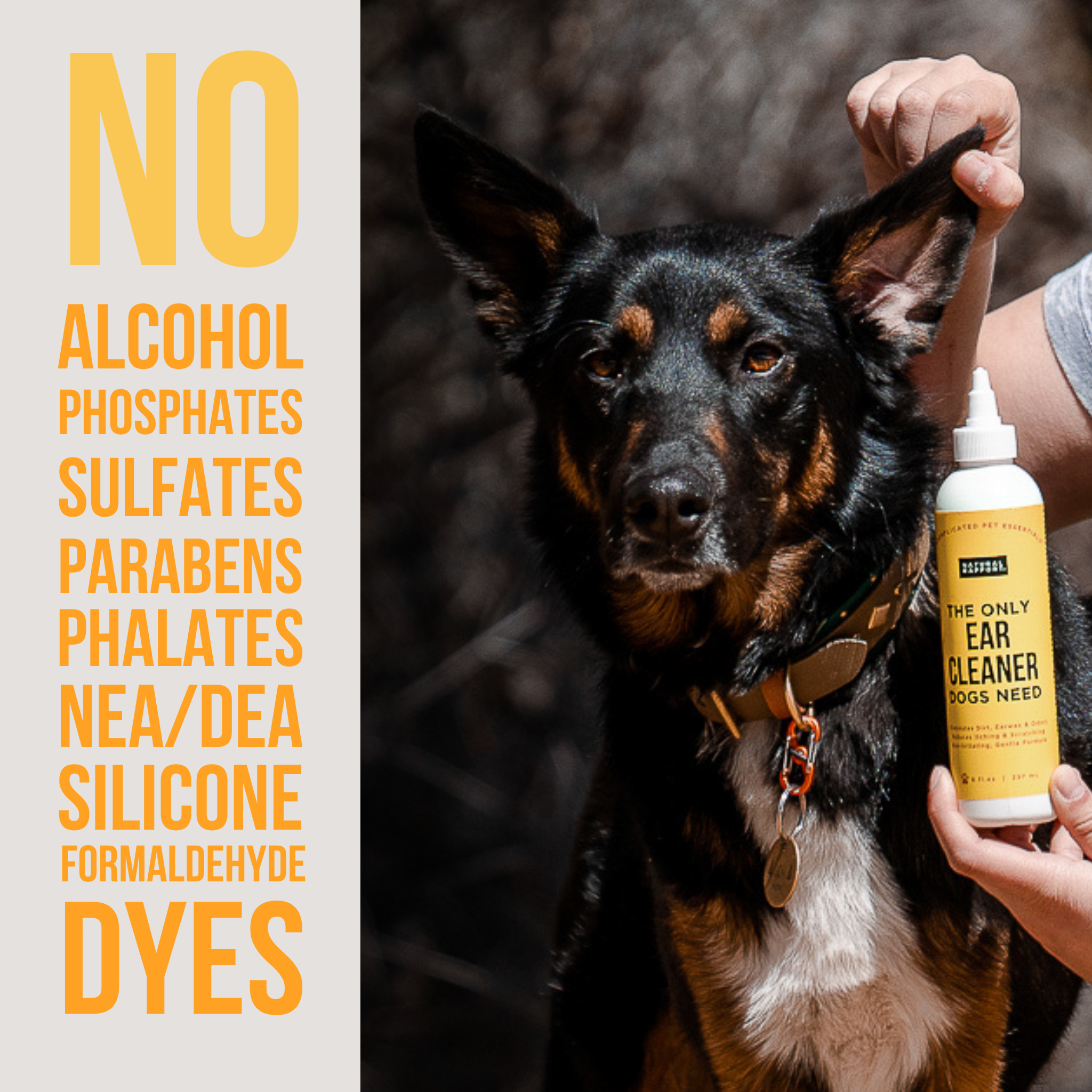Dog Ear Cleaner - Image 3