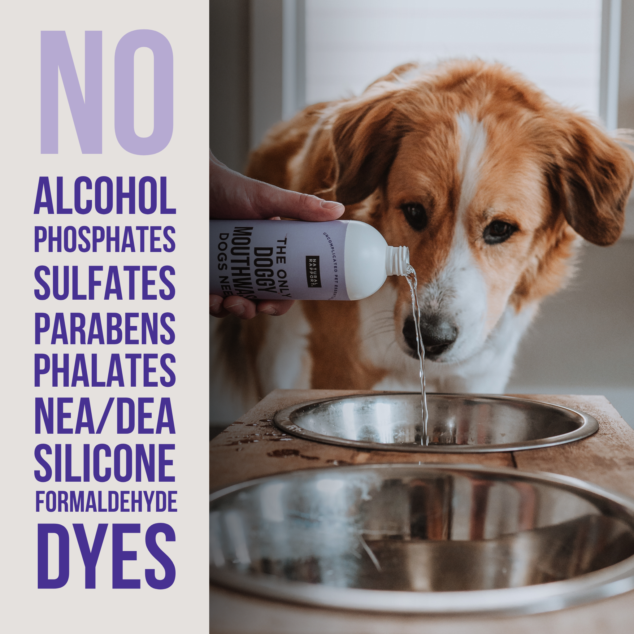 Doggy Mouthwash - Image 3