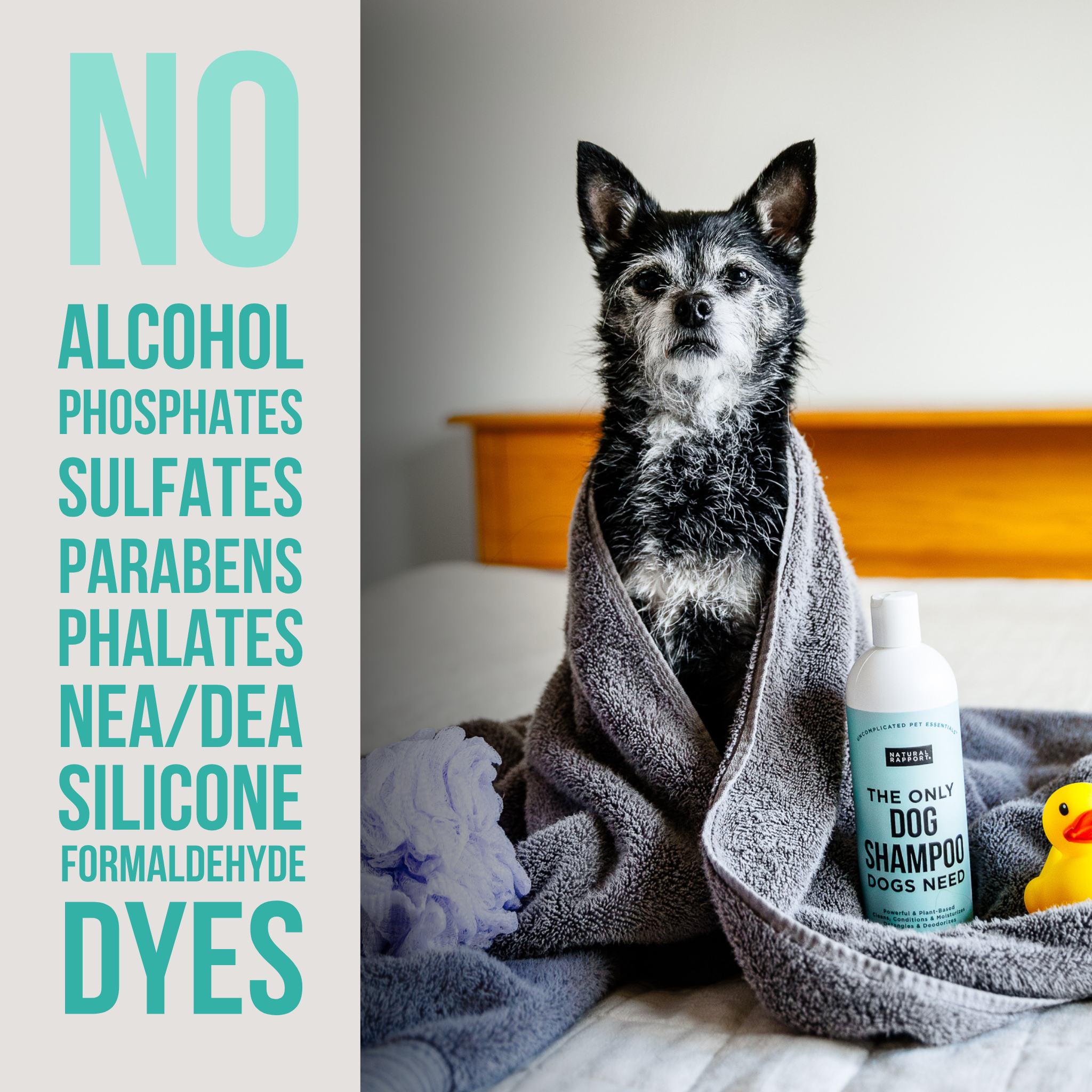 Dog Shampoo - Image 3