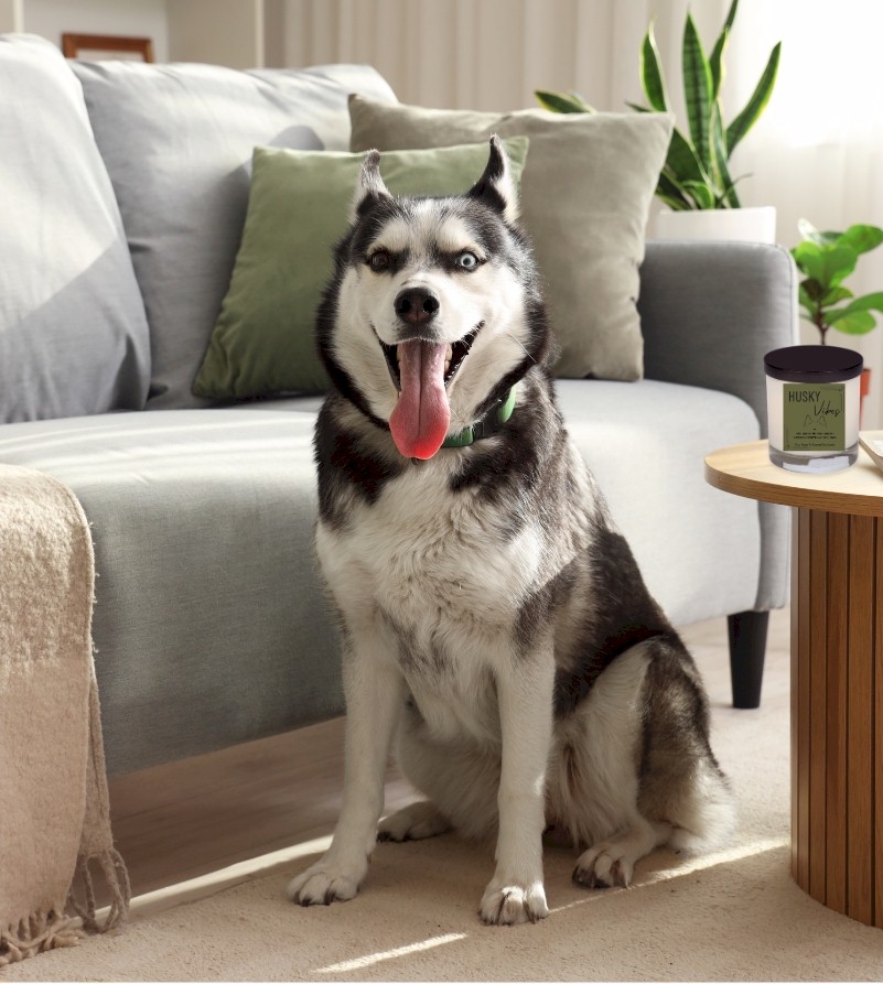 Husky Pup Vibes, 12 oz. Candle - Image 2