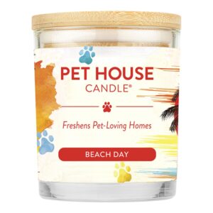 Pet House Beach Day Large Candle - 3 Count