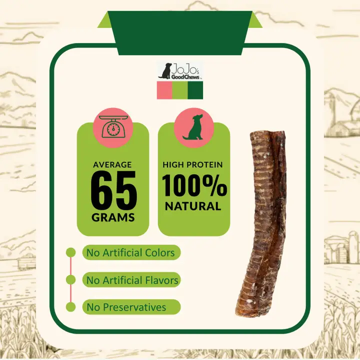 6" Beef Trachea Dog Treat - All-Natural Dog Chews (25/Bag) - Image 3