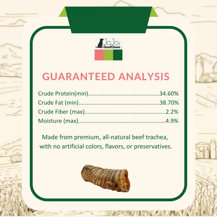 6" Beef Trachea Dog Treat - All-Natural Dog Chews (25/Bag) - Image 2
