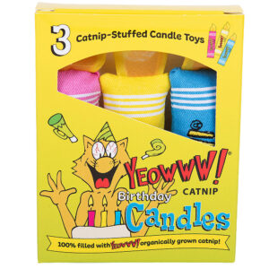 Birthday Candles