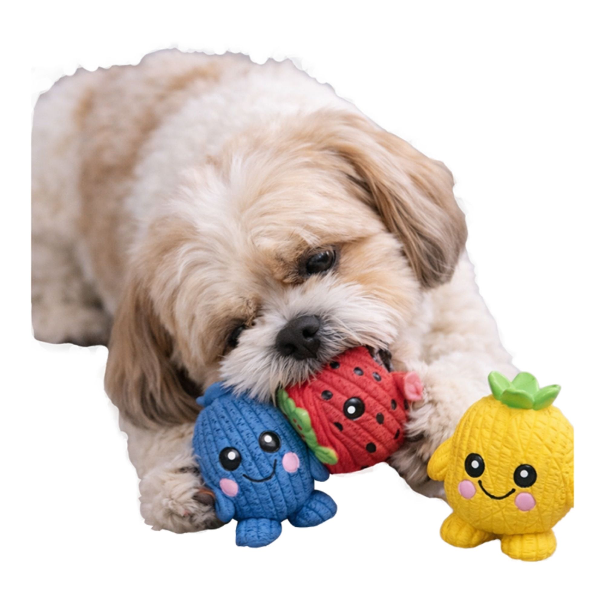 Hugglehounds Dog Ruff - Tex Fruitie Cuties Foodies - 3 Pack - Image 3