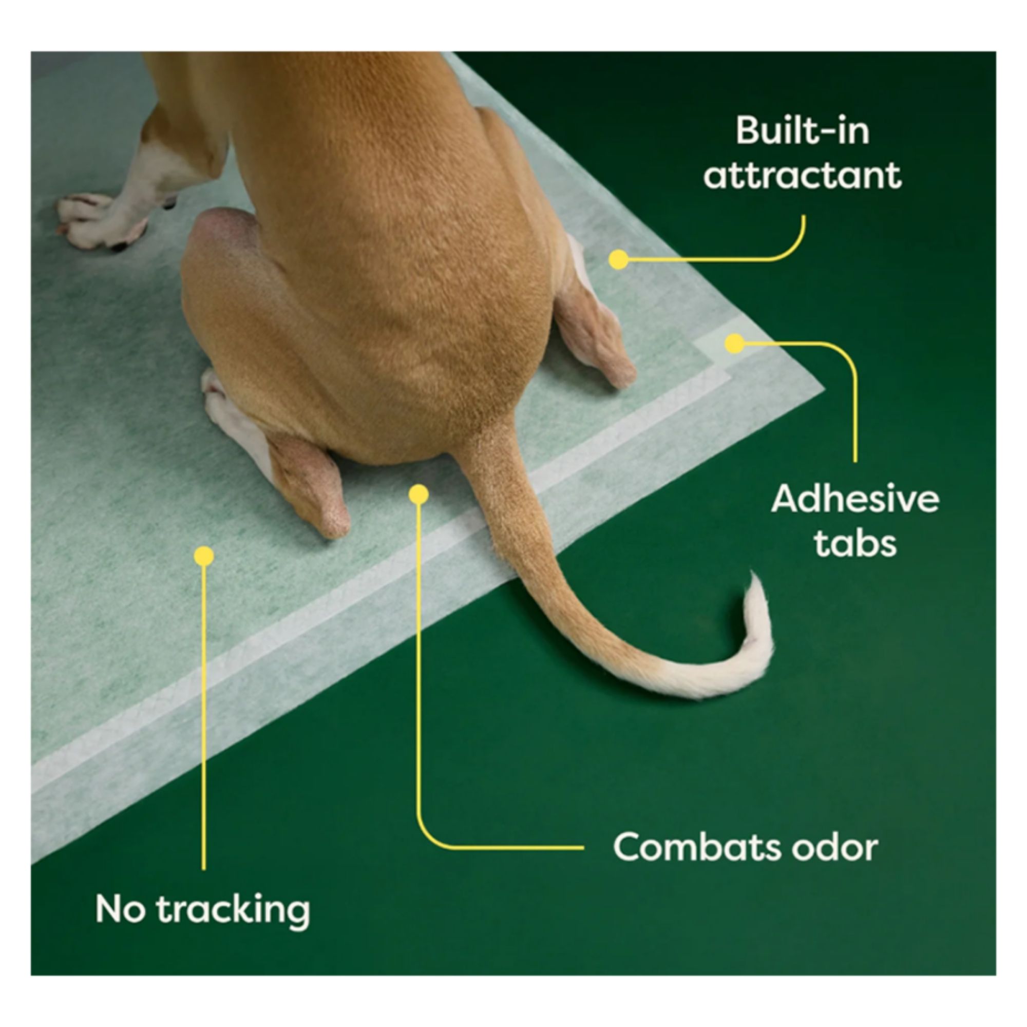 Earth Rated Dog Max Absorbency Puppy Pee Pads XXXLarge 36” X 36” - 14 Count - Image 2