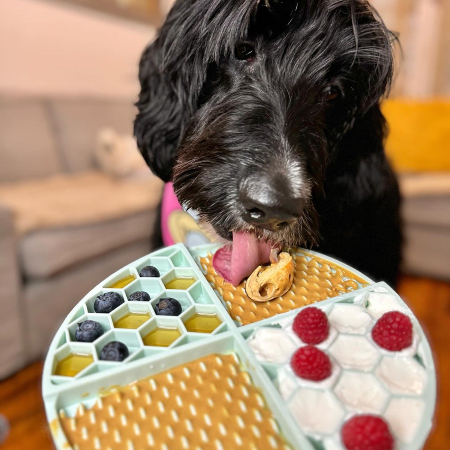 Relax Rover Buddy Budder - Wellness Dog Peanut Butter - Image 4