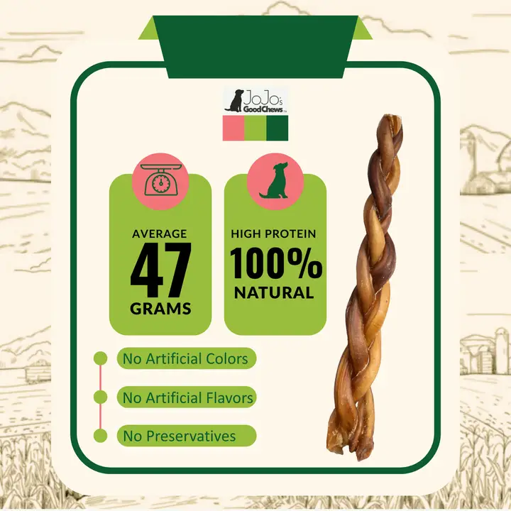 All-Natural Beef Braided Bully Stick Dog Treats - 12" Standard (25-Pack) - Image 3