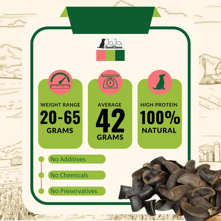 All-Natural Premium Cow Hooves Chews for Dogs (25/Case) - Image 3