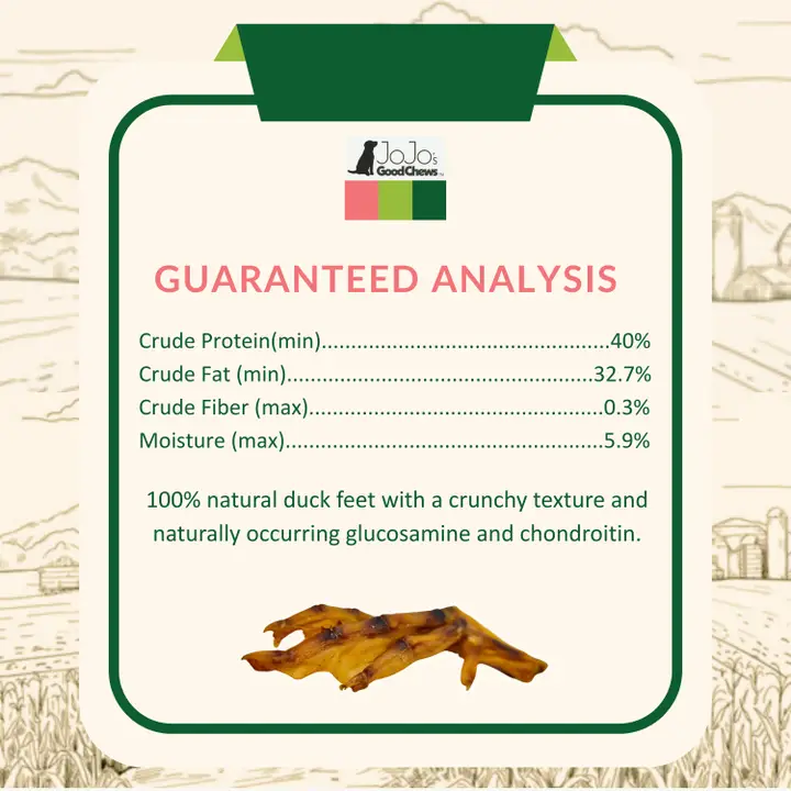 Duck Feet Dog Treats - Single-Ingredient Chews (25/Bag) - Image 2