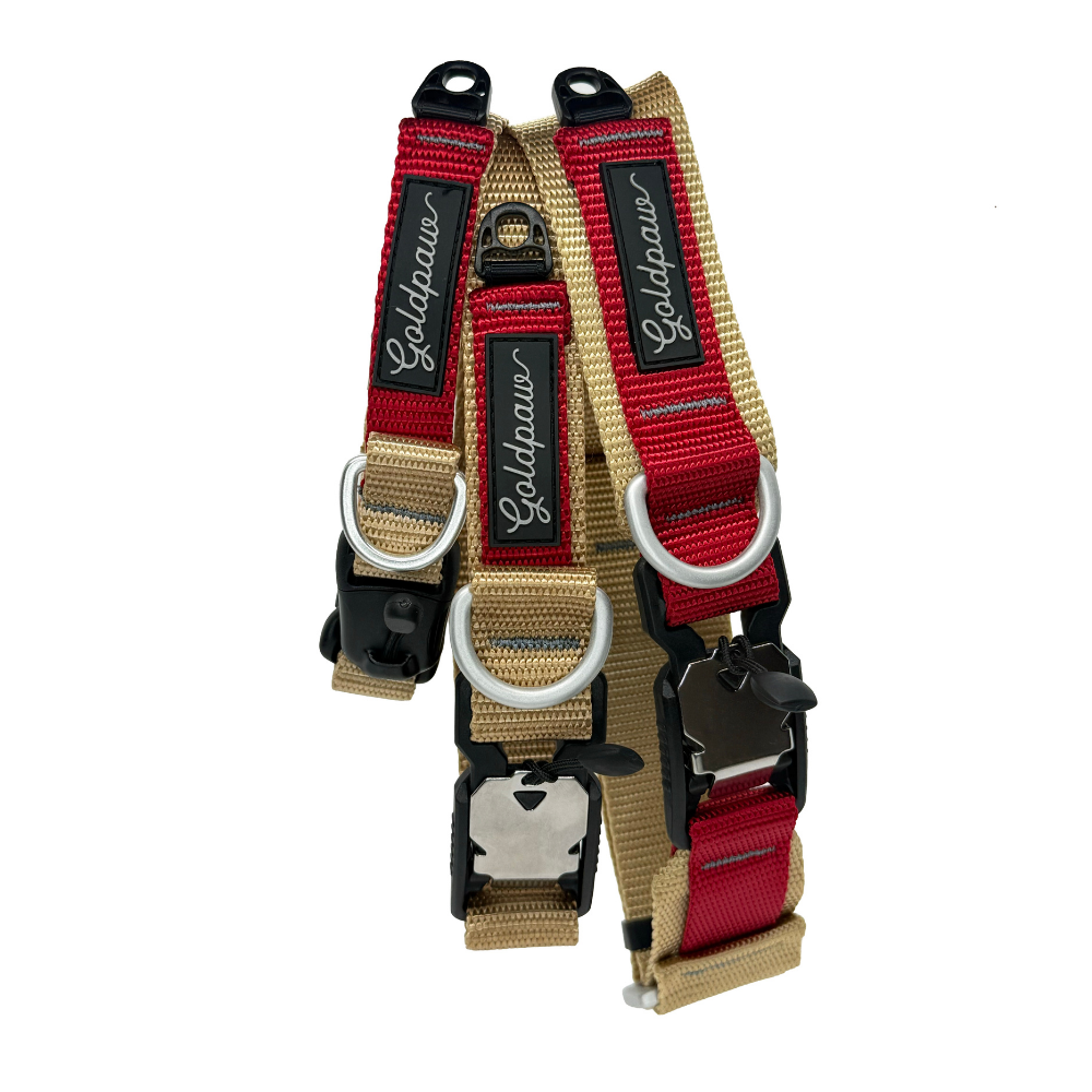 Featherweight SwiftLock Collar - Image 4