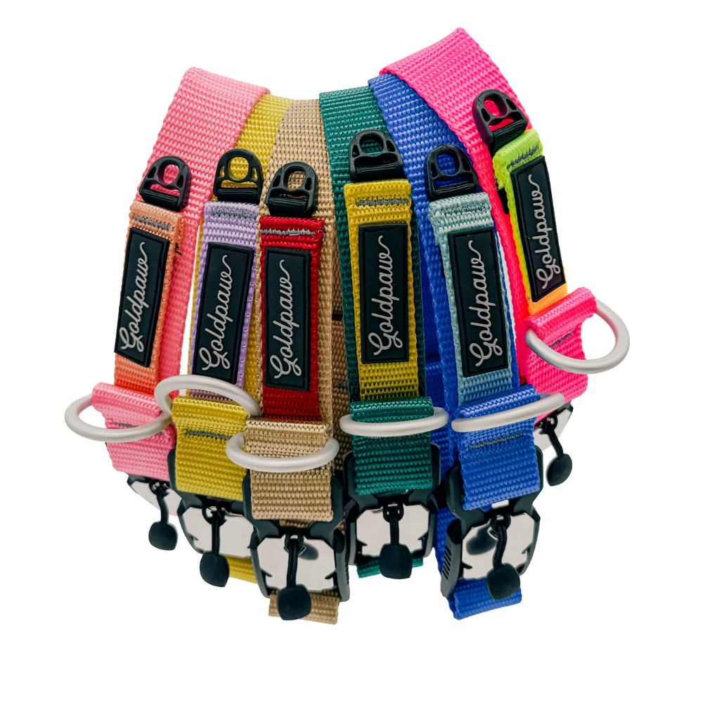 Featherweight SwiftLock Collar - Image 2