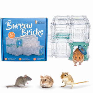 Burrow Bricks Hamster Maze Kit