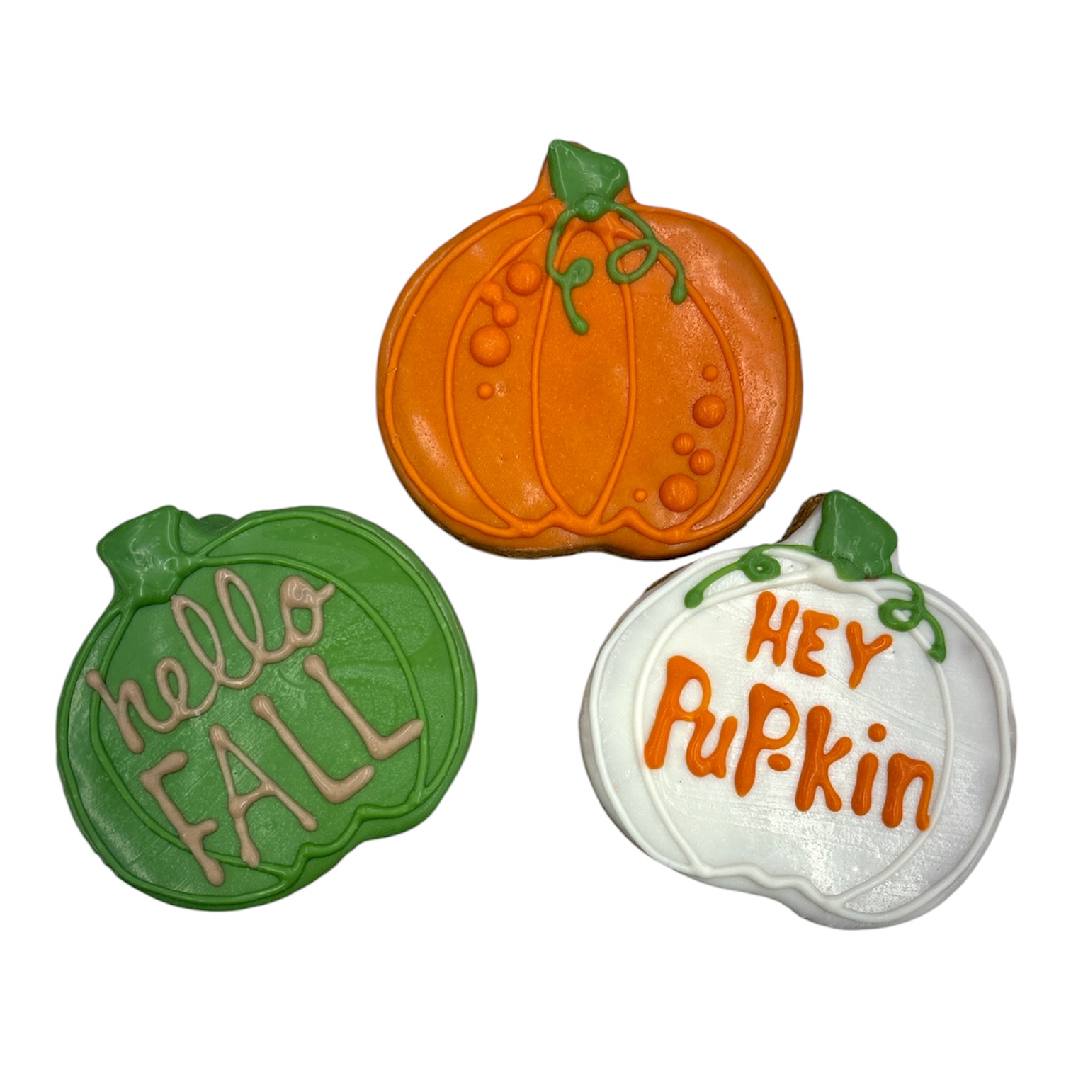 Pumpkin - Tray of 9