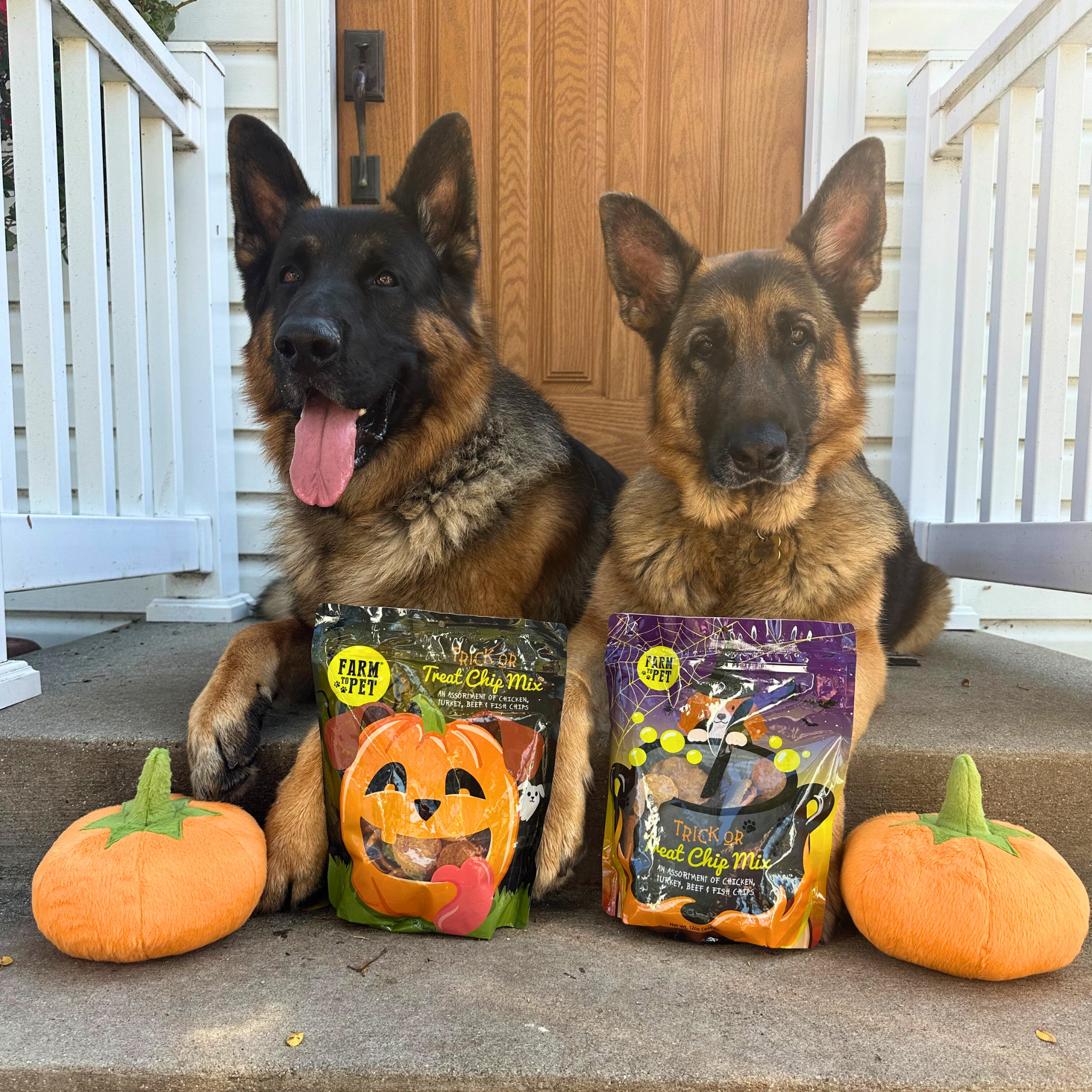 Halloween Dog Treat Variety Value Box - Image 4