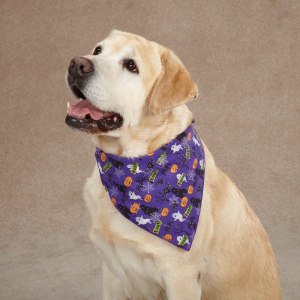 Aria Boo Bandana, Purple - Image 3