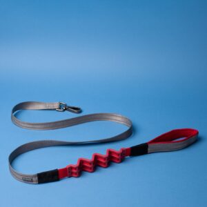 N-GAGE Stretch Leash