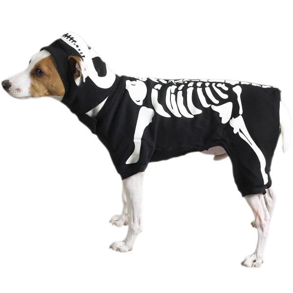 Casual Canine Glow Bones Costume - Image 2