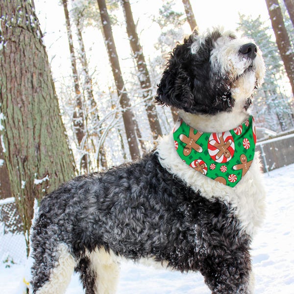 Top Performance Seasonal Bandanas - Image 2
