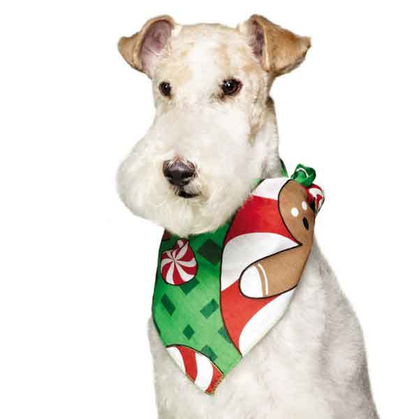 Top Performance Seasonal Bandanas - Image 8