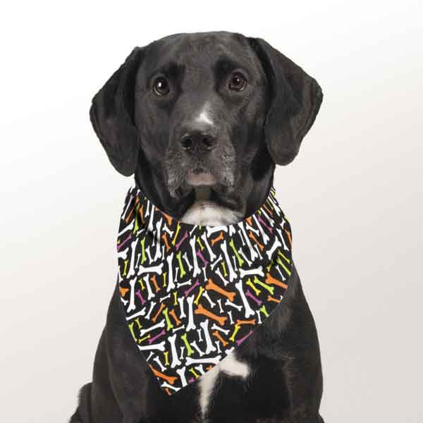 Top Performance Seasonal Bandanas - Image 3